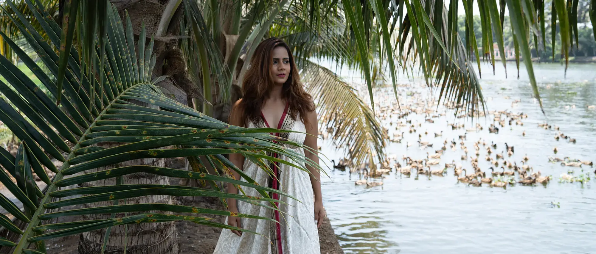 Blue Jelly Marina - Blue Jelly Cruises & Resort